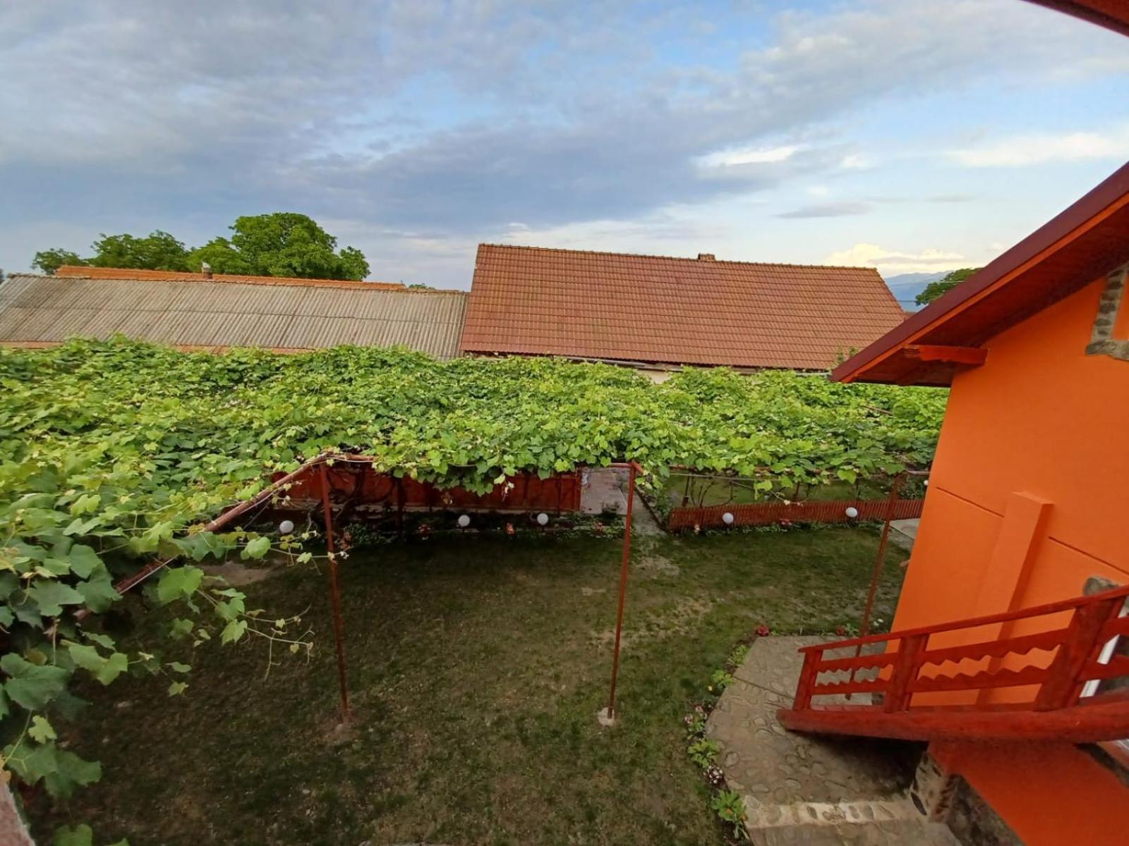 Hotel Casa Alex Cîrţişoara Zewnętrze zdjęcie